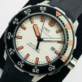 Picture of IWC Watch _SKU1631851256031529
